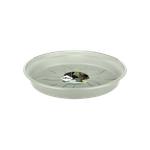 green basics saucer 17cm stone green